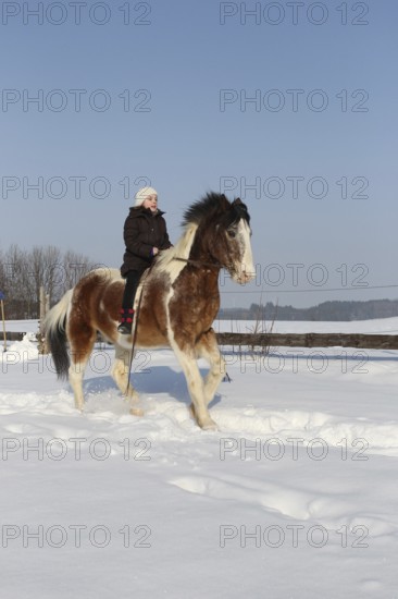 Girl riding a Crilollo gelding bareback in the snow, Allgäu, Bavaria, Germany, Allgäu, Bavaria,