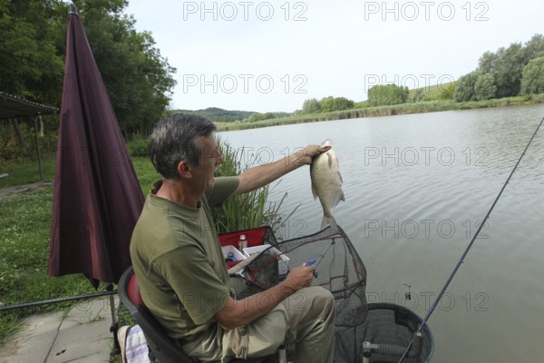 Fisherman, angler with caught whitefish (Leuciscinae) Southern Hungary, Hungary, Southern Hungary,