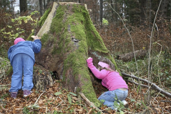 Girls discovering nature, children in nature, love of nature, Allgäu, Bavaria, Germany, Allgäu,