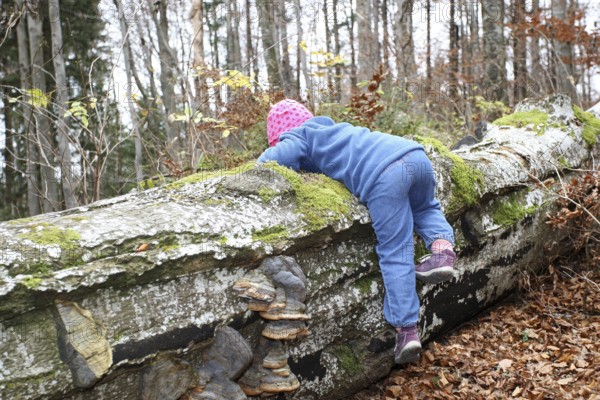 Girl discovers nature, Child in nature, Love of nature, Allgäu, Bavaria, Germany, Allgäu, Bavaria,