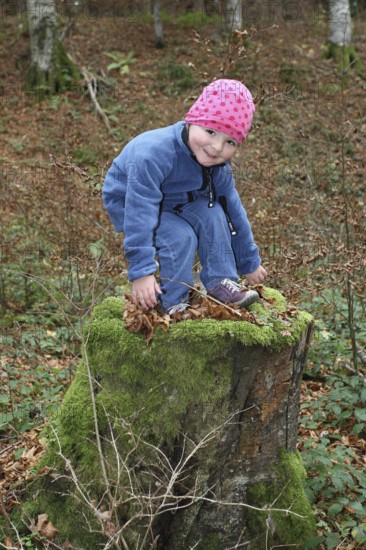 Girl playing in the forest, child in nature, love of nature, Allgäu, Bavaria, Germany, Allgäu,