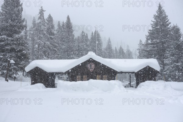 Yellowstone National Park, North America in winter, heavy snowfall at the north-east entrance to