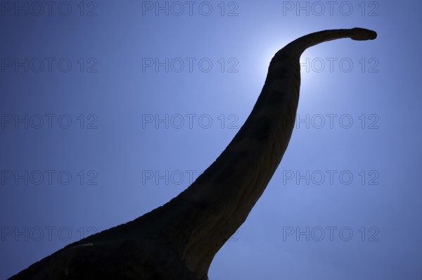 Replica, model of a Brachiosaurus, backlight, silhouette, in front of Urwelt-Museum Hauff, Museum,