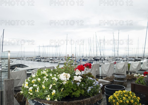 Boat harbour, Baltic Sea, Baltic resort, Kühlungsborn-Ost, Kühlungsborn, Rostock district,