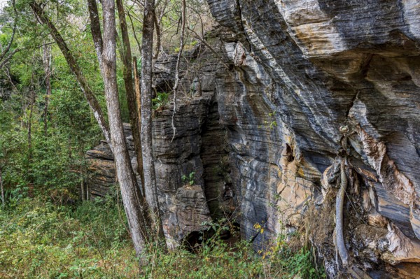 Vertical rocky formation between the trees of the tropical forest in Lapinha da Serra, Minas