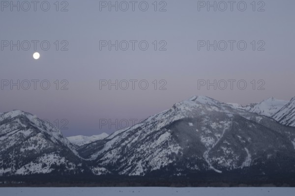 Moonset... Rocky Mountains (Wyoming, USA), full moon in ice-cold night over the Grand Teton Range
