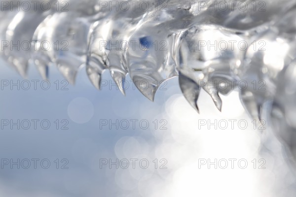 Shark teeth... Ice formations (winter flood 2020, 2021) formed from wind and water on an ice sheet