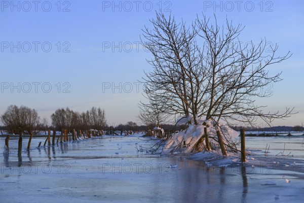 Landfall, ice age on Bislicher Insel... Winter mood (Lower Rhine), after the flood came severe