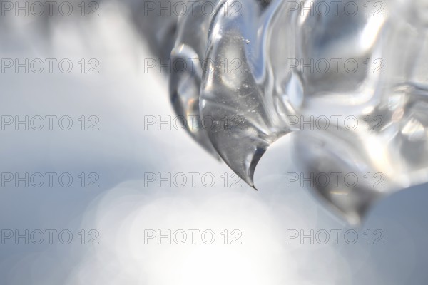 Needle point... Ice tooth (winter flood and cold snap 2020, 2021), ice formed by wind, weather and