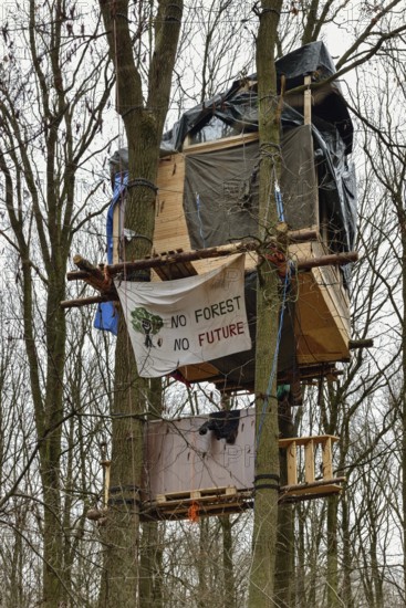 Standing up for the preservation of the forest... Tree house in Hambach Forest, environmental