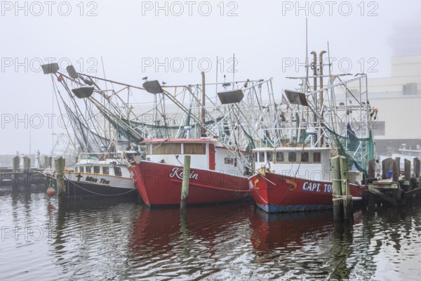 Commercial shrimp boats at the dock in the commercial area of the Biloxi Small Craft Harbor in