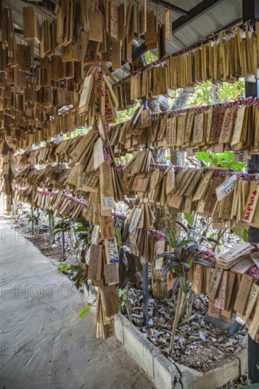 Plaques with messages from prrevious customers hang at entrance to the Akha Cottage restaurant and
