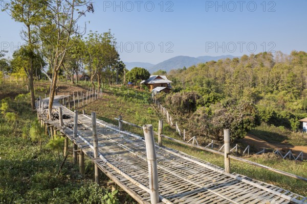 Raised bamboo walkway bridge in disrepair leads to farmhouse on a hillside near the Akha Cottage