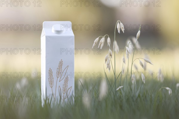 Minimalist oat milk carton with pastel oat illustrations set against a sunlit meadow background.
