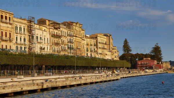Waterfront with historic buildings and trees under a blue sky, Ortigia Island, Isola di Ortigia,