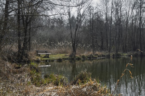 Former anti-tank ditch from the 2nd World War, Westwall, Steinfeld, Southern Palatinate,