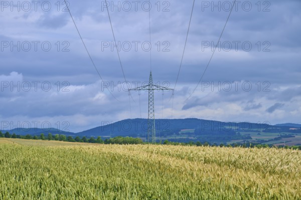 Crop field with a power pole under a cloudy sky, summer, Germerode, Geo nature park Park