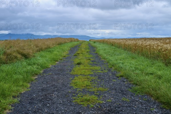 Field path under a cloudy sky in a rural setting, summer, Germerode, Geo nature park Park