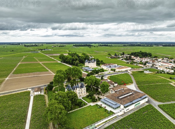 Chateau Pichon Longueville Comtesse de Lalande and Chateau Pichon Longueville Baron Vineyard around
