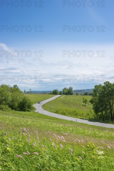 A winding road near St. Andreasberg leads over the hills in the Upper Harz through the Bergwiesen