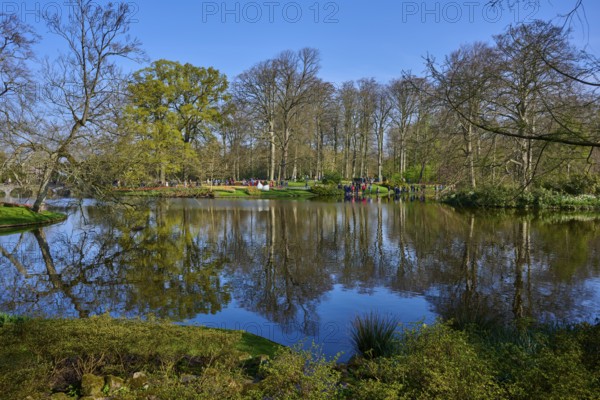 A peaceful park with a large pond in which the trees are reflected, Keukenhof, Lisse, province of