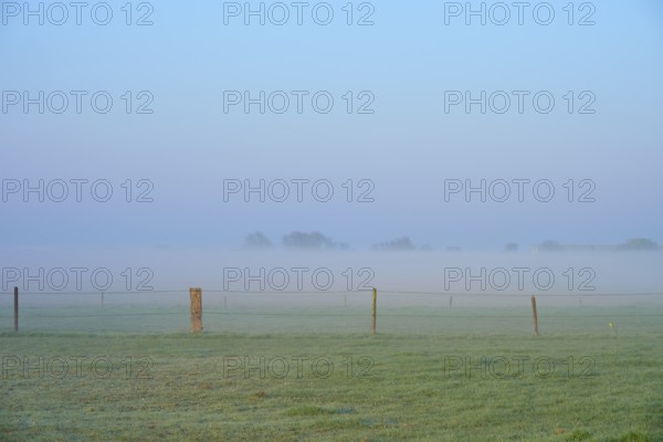 A misty meadow with scattered fences creates a peaceful morning atmosphere, Sassenheim, province of
