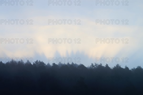 Sunbeams appear behind a forest at dawn, creates a dramatic picture, spring, Jossa, Sinntal,