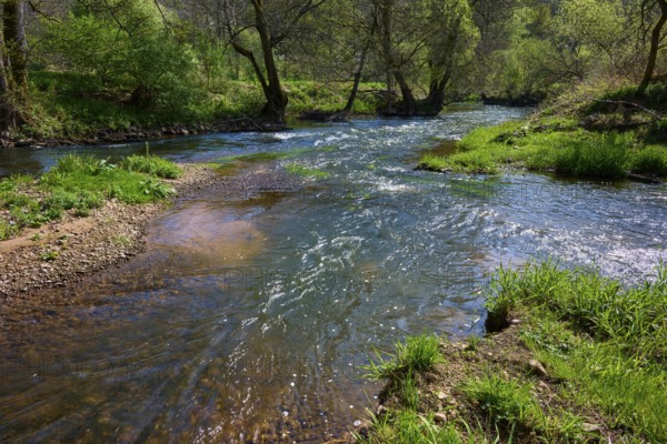 Gently flowing river SInn through a green and peaceful landscape surrounded by trees, spring,