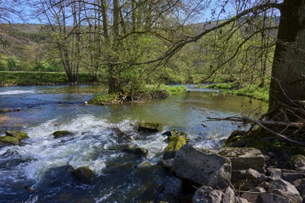 Clear water of a river Sinn flows between lush overgrown banks with trees and stones, spring,