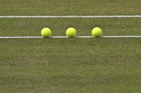 Three tennis balls lying on the grass, Tennis, ATP 250, BOSS Open 2025, Stuttgart,