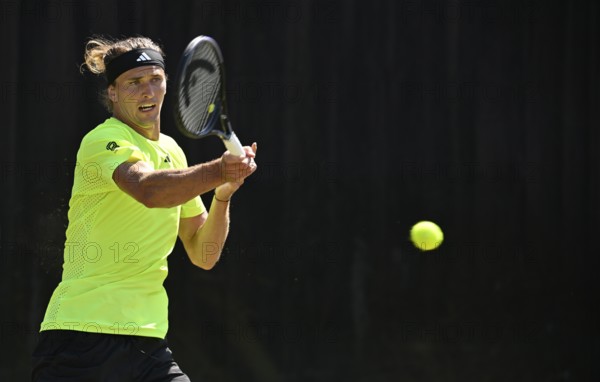 Alexander Zverev GER, Action, Tennis, ATP 250, BOSS Open 2025, Stuttgart, Baden-Württemberg,