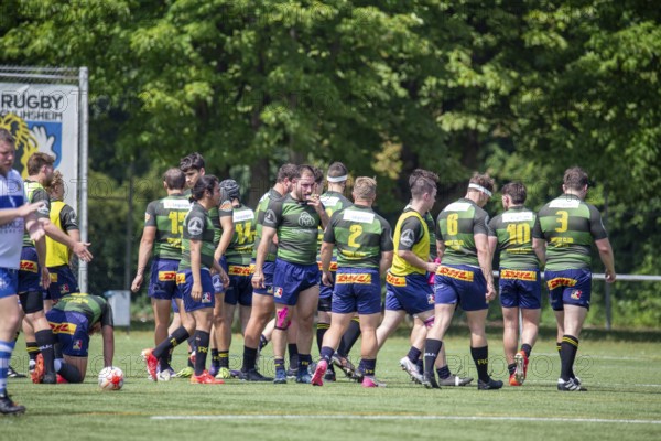 Rugby 1st Bundesliga South/West, season 2024/25, final phase quarter-final: TSV Handschuhsheim