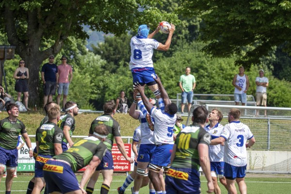 Rugby 1st Bundesliga South/West, 2024/25 season, final phase quarter-final: TSV Handschuhsheim v RC