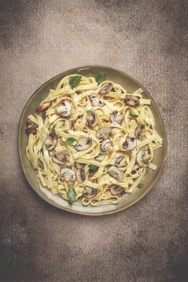 Fettuccine with champignons, basil, in cream sauce, homemade, no people