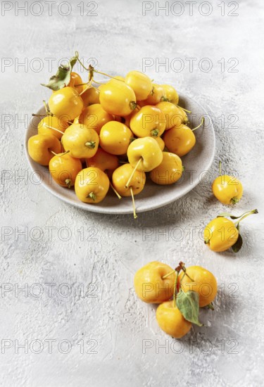 Yellow small apples, Chinese variety, on a gray plate, top view, no people
