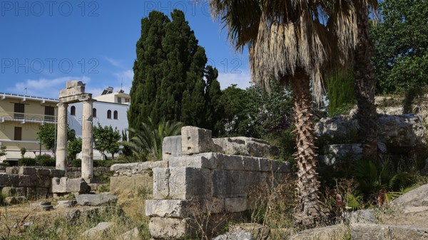 ©Udo Rein, Ancient columns and ruins, complemented by palm trees and surrounding vegetation, Temple