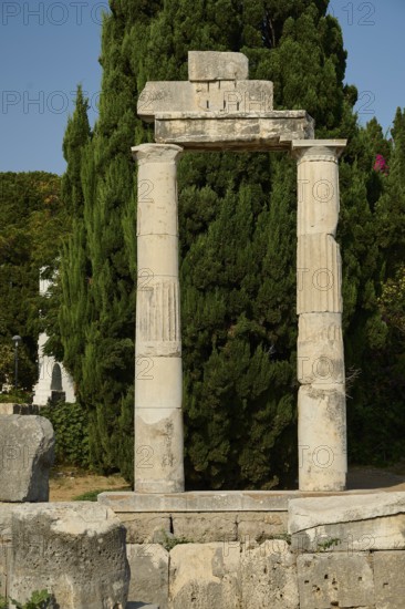©Udo Rein, Stone columns and ruins, surrounded by lush vegetation and a large tree, Temple of