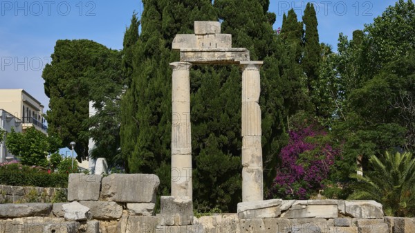 ©Udo Rein, Columned ruins against a backdrop of dense greenery and blossoming trees, Temple of