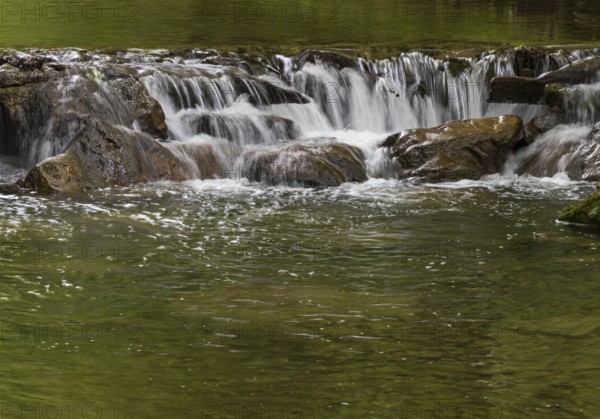 Small waterfall, Wangauer Ache flows through a forest, Mondseeland, Salzkammergut, Upper Austria,