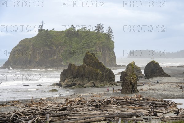 Rocks and driftwood on the beach under a cloudy sky with a small island in the background, Ruby