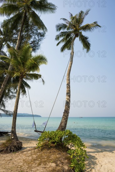 Sandy beach beach with coconut palms, Khlong Chao Beach, Koh Kood, Koh Kut, Gulf of Thailand,