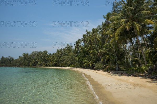 Sandy beach beach with coconut palms, Ngam Khor Beach, Koh Kood, Koh Kut, Gulf of Thailand,