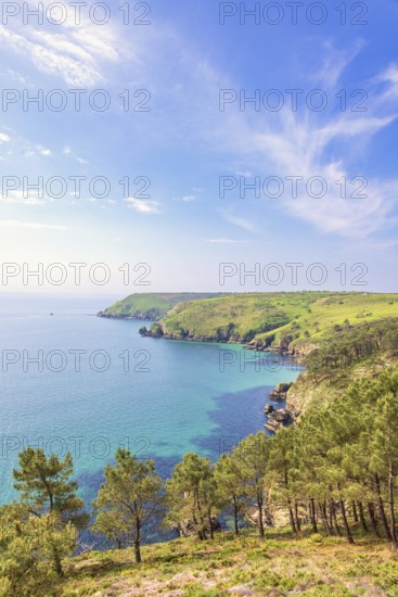 Scenics view at a rocky coastline with pine trees and blue water in the bay with a seascape view to