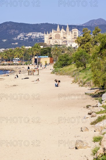 Sand beach with sunbathing people at Palma beach with the famous Palma Cathedral in the backgrounds