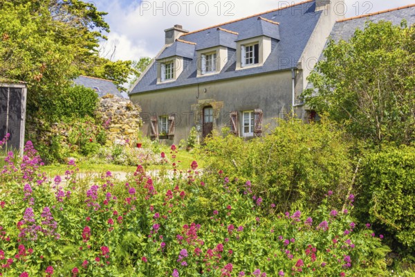 Old house with flowering garden flowers on the french countryside a summer day, Crozon peninsula,