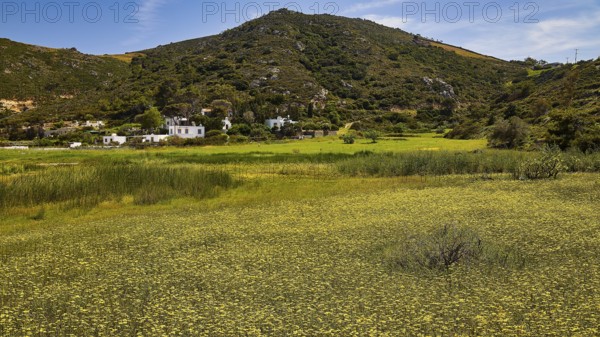Green landscape with hills and small white houses against a blue sky, Lambi Beach, Lambi Bay,