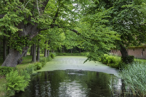 A tranquil river surrounded by lush green trees and plants, a peaceful nature spot, Slochteren,