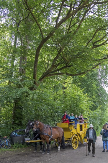Postillion, passengers, stagecoach, Verein Postkutsche Lüneburger Heide e.V., Klecken, Rosengarten,