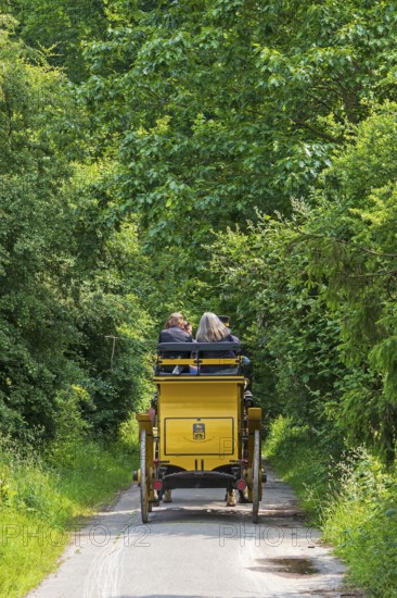 Passengers, stagecoach, forest path, Verein Postkutsche Lüneburger Heide e.V., Klecken,