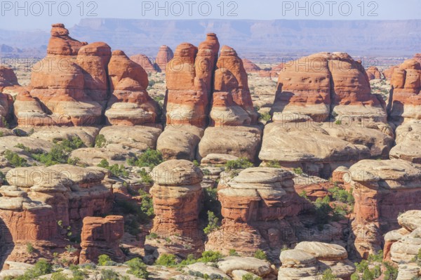 Sandstone pinnacles, Chesler Park, The Needles district, Canyonlands National Park, Utah, USA